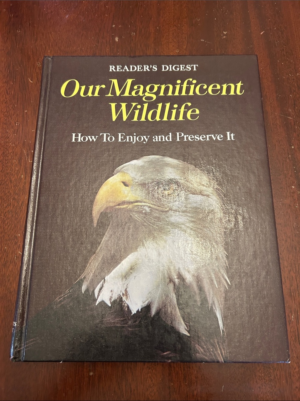 Our Magnificent Wildlife Hardcover - Readers Digest